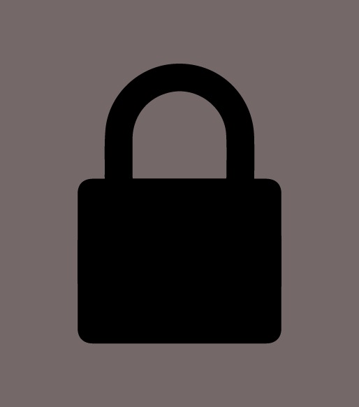 Secure lock insignia